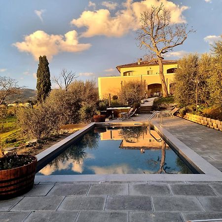 The Olive Grove In Tuscany Toiano Exteriör bild