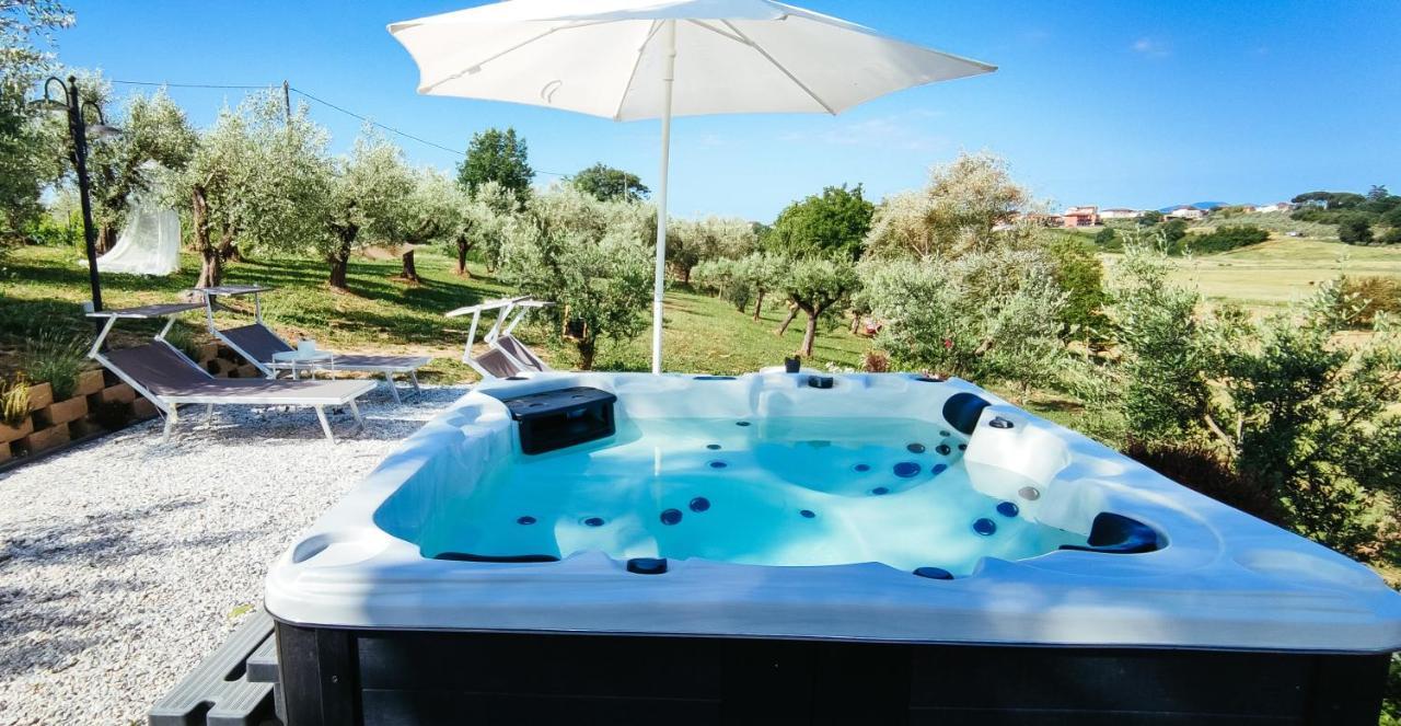 The Olive Grove In Tuscany Toiano Exteriör bild