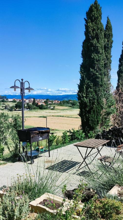 The Olive Grove In Tuscany Toiano Exteriör bild
